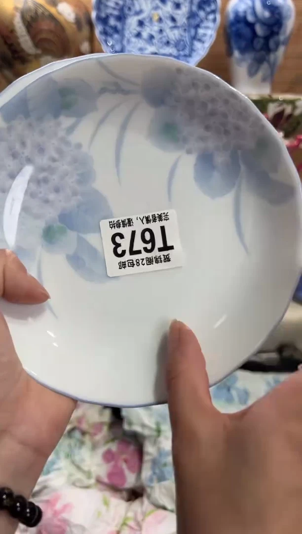 瓷片珞*     T673