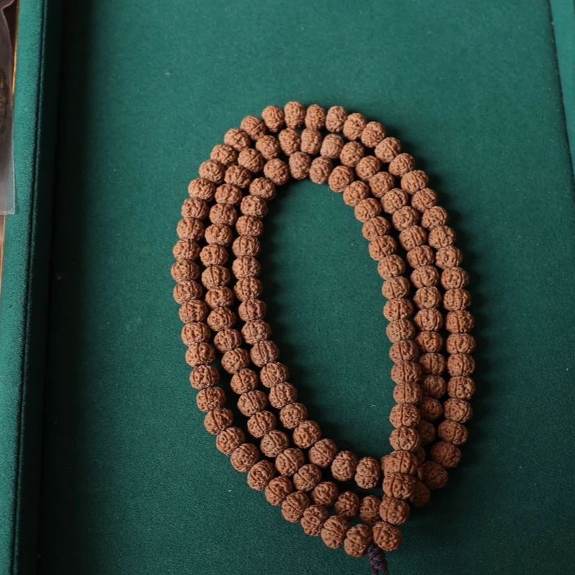 【编号A262】五面龙小金刚菩提长串尺寸7-8+mm