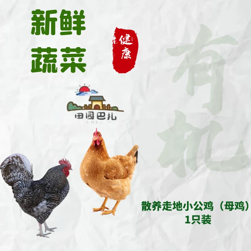 【新鲜美味】散养走地小公鸡（土鸡）1只装（公母都有）