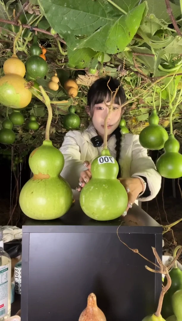 2****星700天然葫芦摆件 一物一拍龙头不保售后