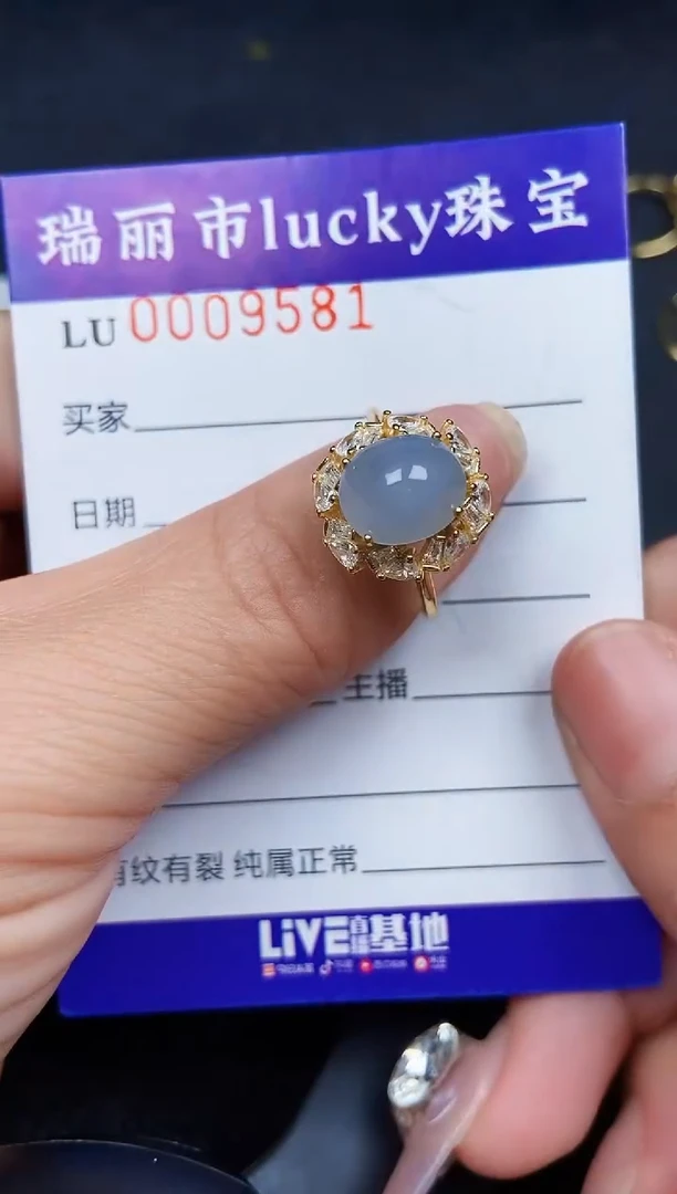 翡翠银S925镶嵌颈饰9581