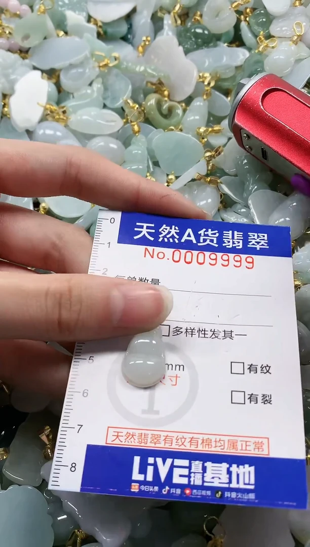 颈饰未镶嵌翡翠纯天然a货翡翠