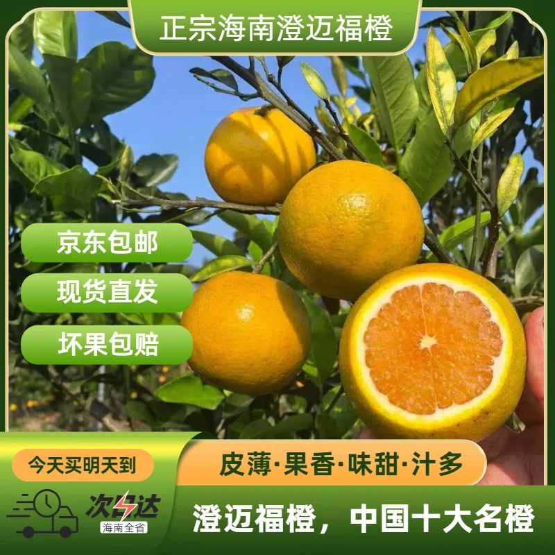 海南澄迈福橙【京东次日达】海南省