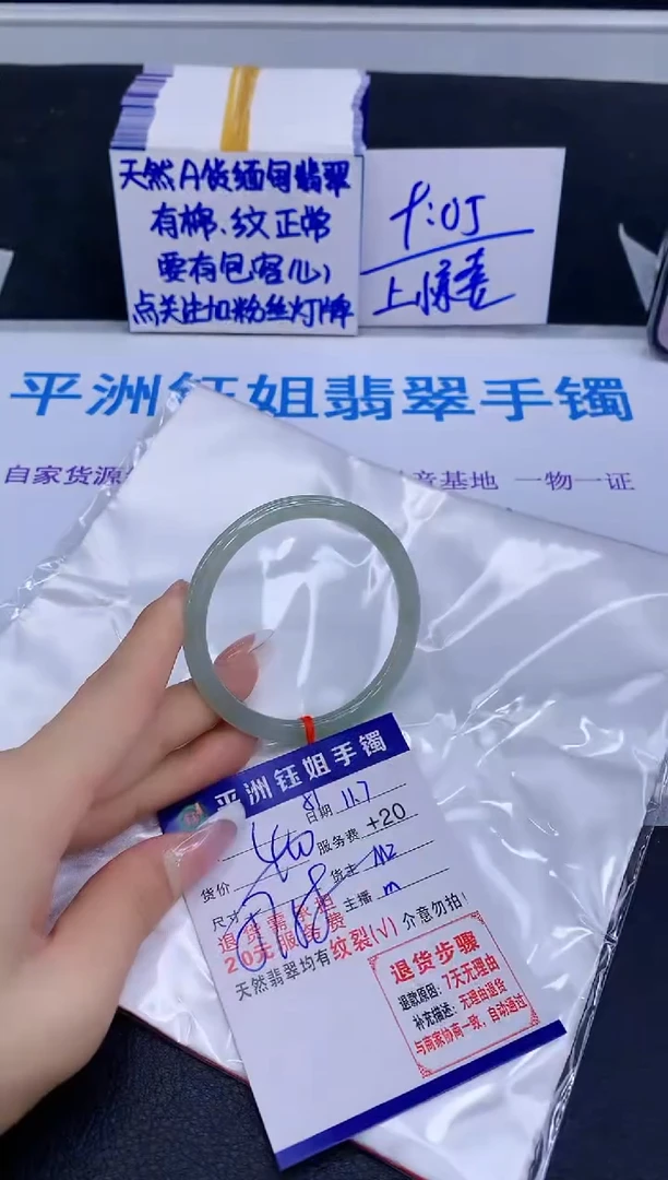 未镶嵌手镯翡翠11111