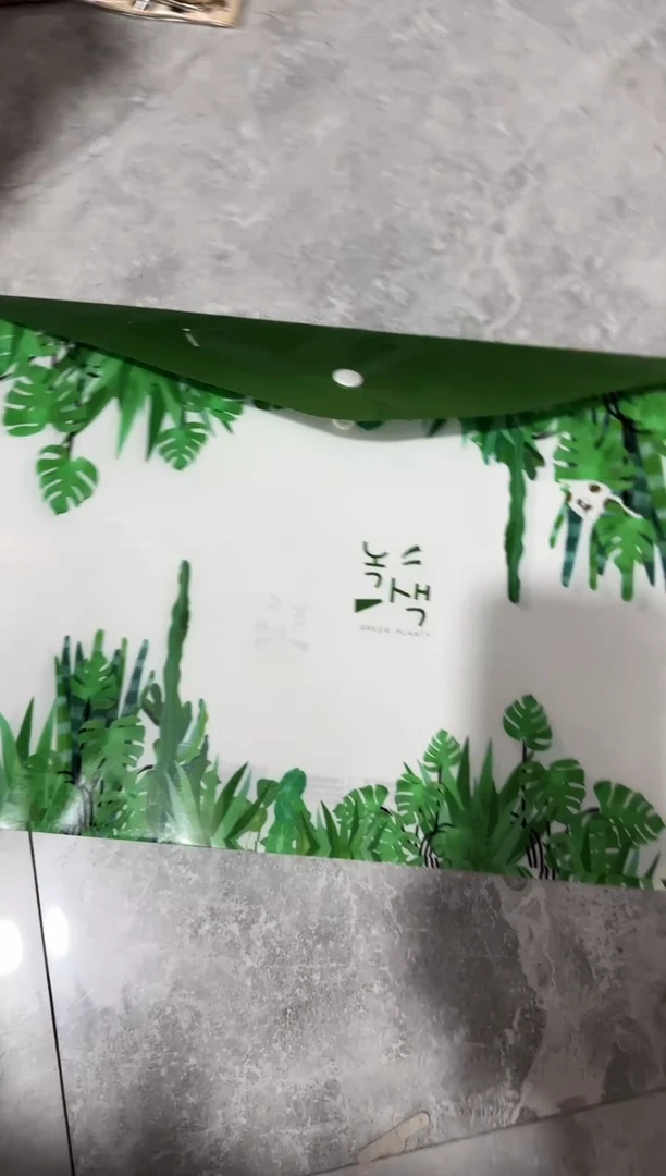 广博绿植a4按扣袋10个随机