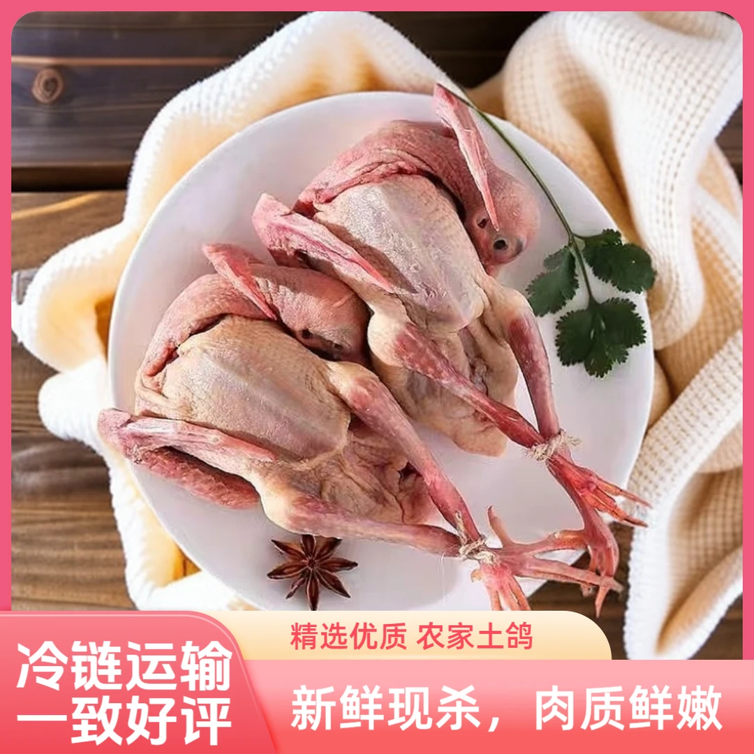 【送人参】散养土鸽子新鲜现杀鲜嫩乳鸽煲汤炖汤农家杂粮鸽子肉