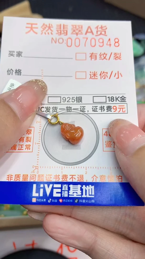 翡翠未镶嵌颈饰             8