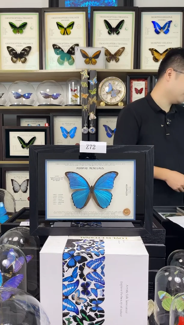 大蓝闪蝶A4悬浮设计款Z72