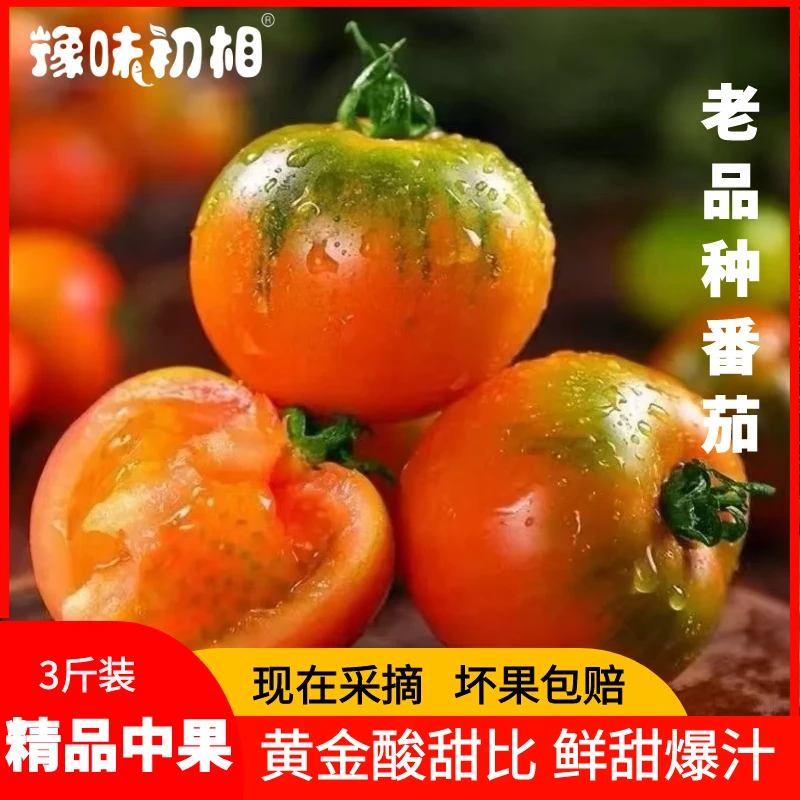 【现摘现发】河南老番茄老品种西红柿 酸甜可口儿时味道3斤/5斤