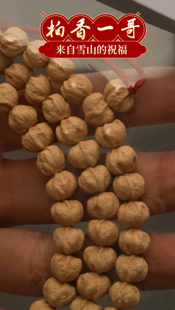 【闪购商品】柏香籽/百香籽吊坠1924狗不理