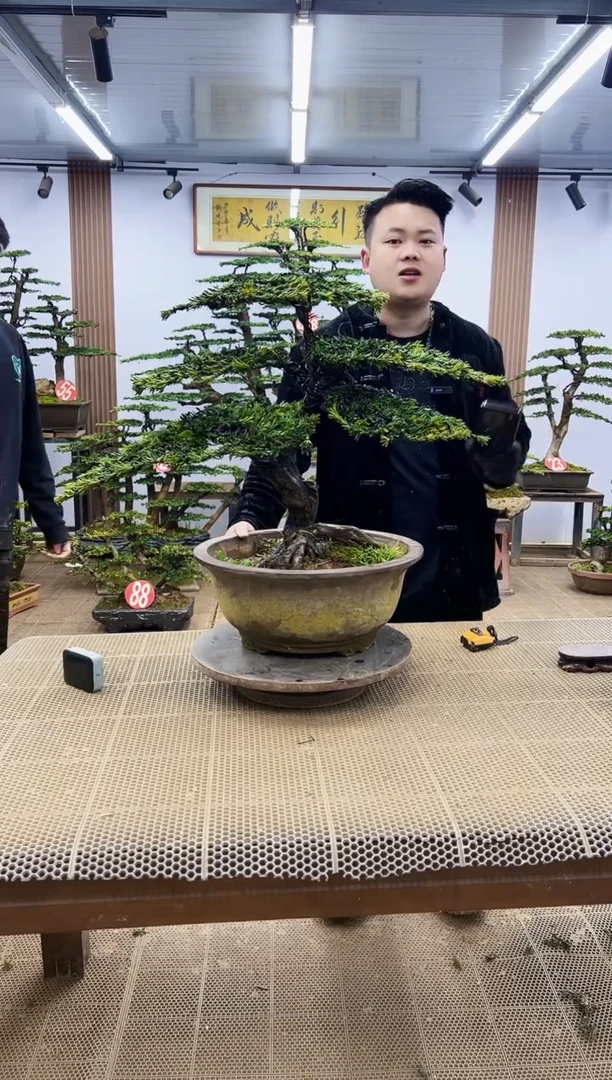 【闪购商品】00000000