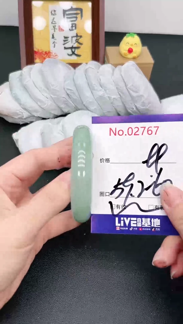 未镶嵌手镯翡翠2767