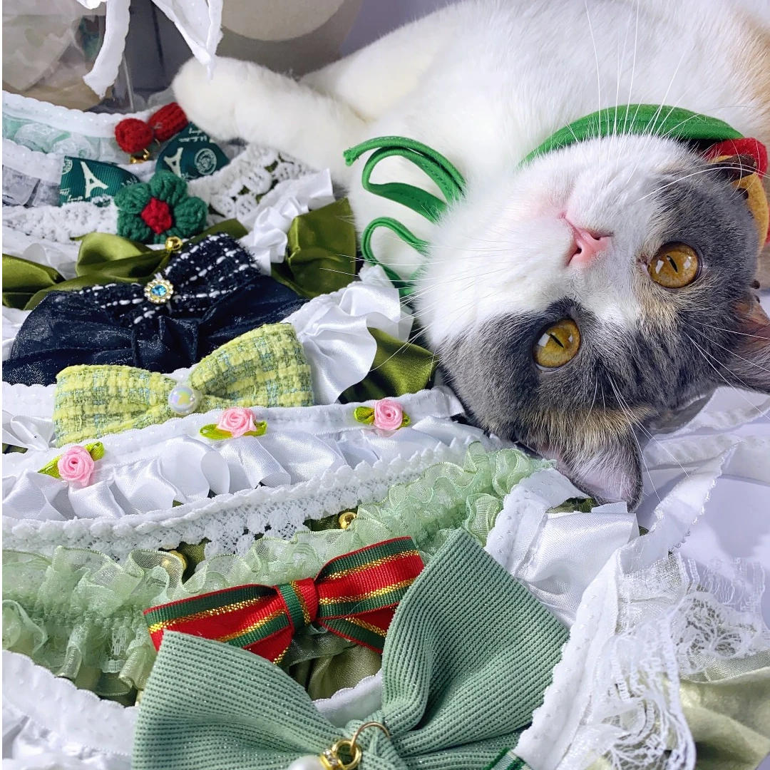 精品蕾丝小狗小猫蕾丝款宠物围脖（直播配款）