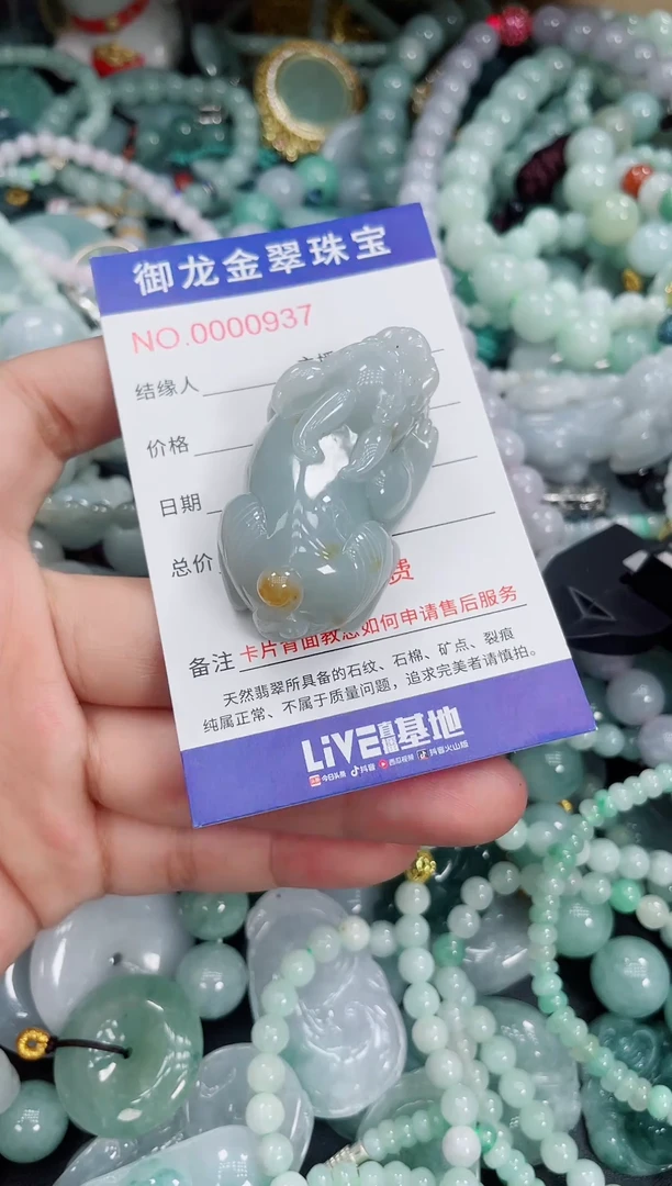 翡翠未镶嵌颈饰061