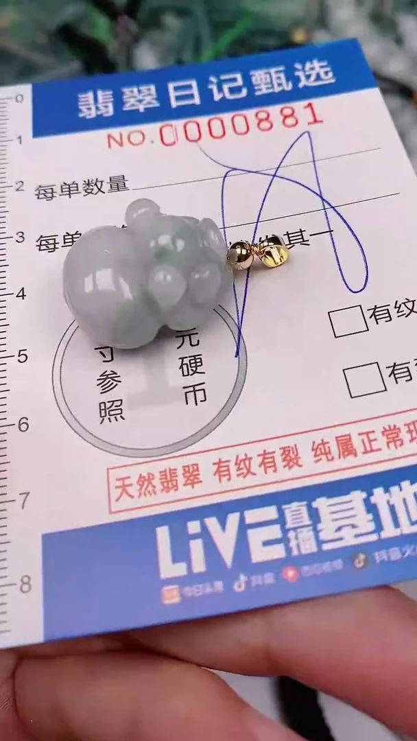 【闪购商品】翡翠颈饰未镶嵌00000881