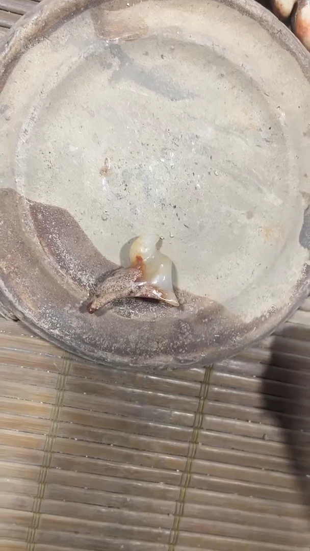 【闪购商品】瓷片手工，手绘，陶器