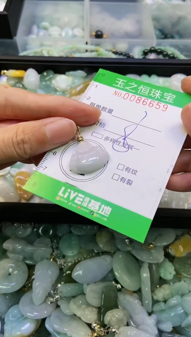 翡翠未镶嵌颈饰闪购0086659
