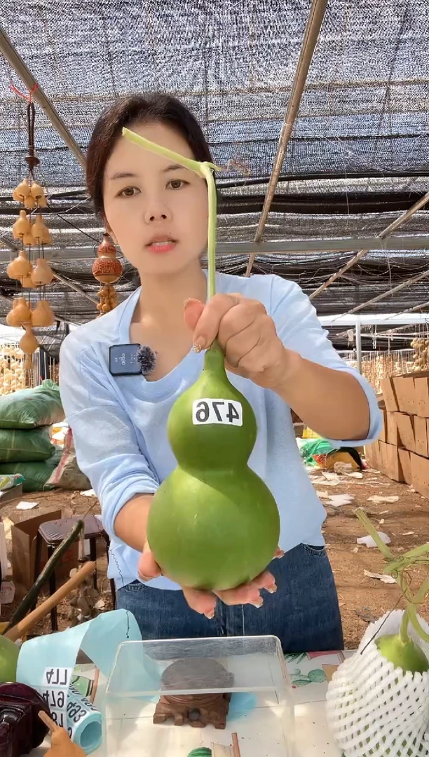 476天然葫芦摆件 一物一拍龙头不保售后