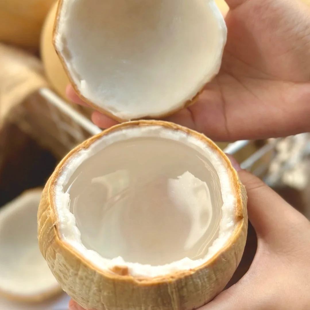 泰国丹嫩沙多老树椰皇6颗装 【顺丰包邮+坏果包赔】