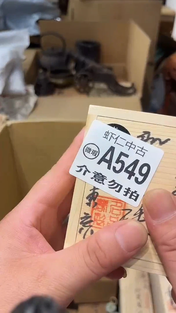 紫*A549MMMMMMMM