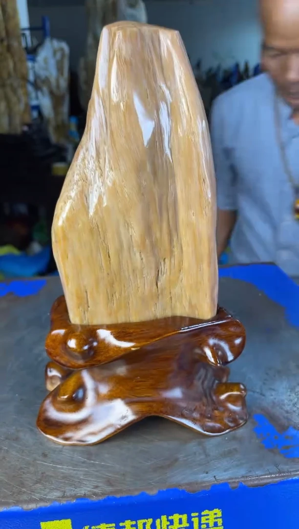 未镶嵌摆件硅化玉45