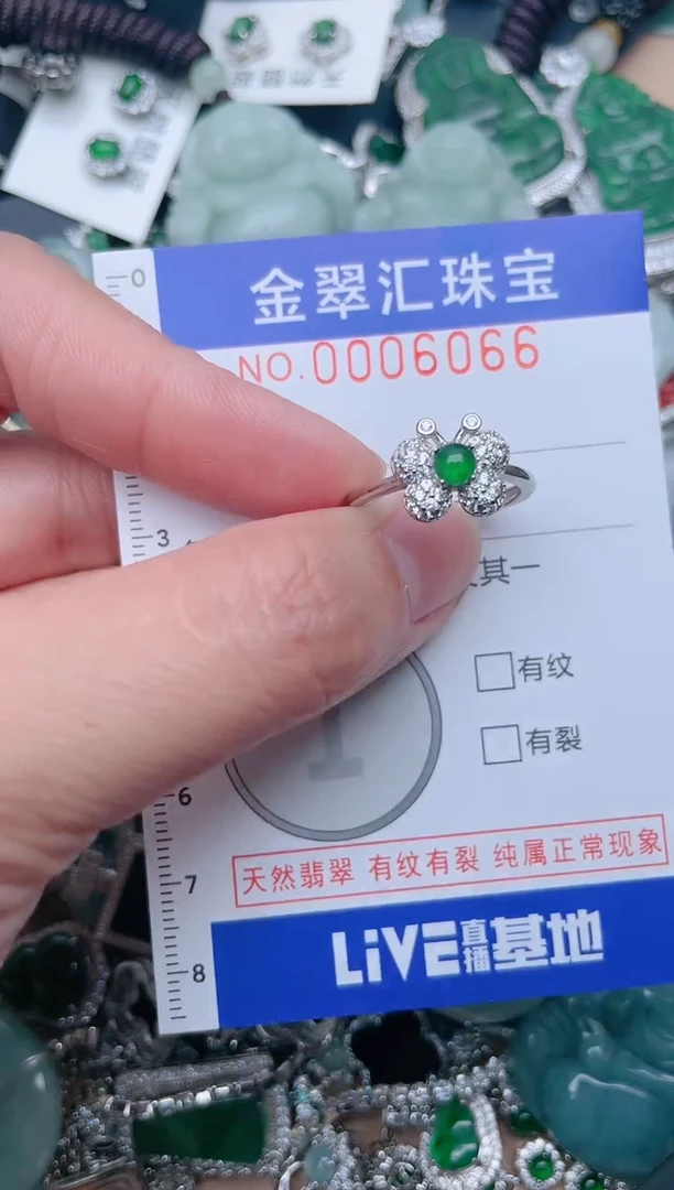 【闪购商品】翡翠颈饰未镶嵌6066...1