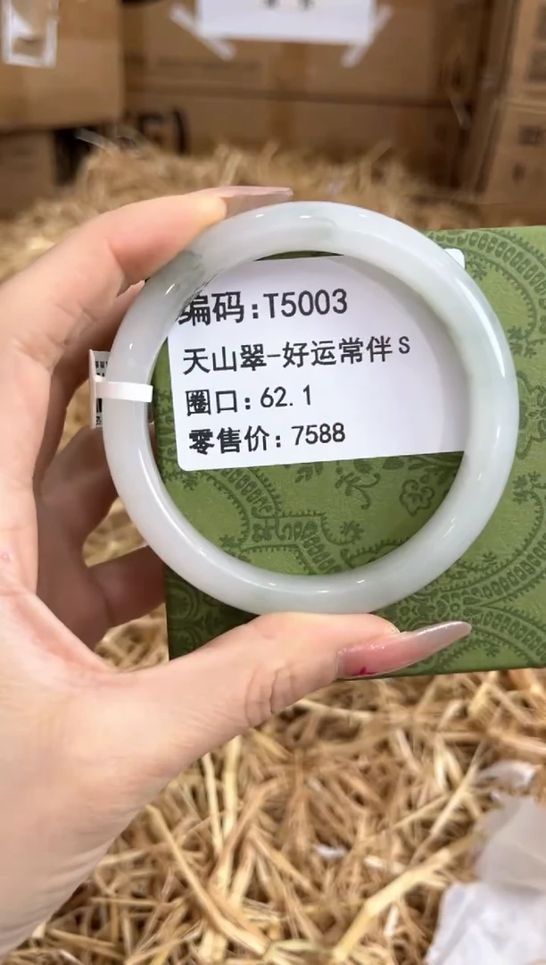 未镶嵌手镯石英质玉T5003