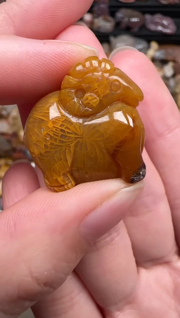 颈饰未镶嵌硅化珊瑚（珊瑚玉）725