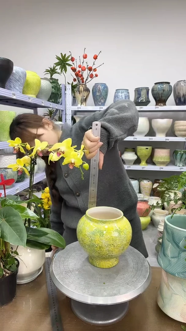 娃**哈11.27陶瓷花盆直播链接高   15  口12