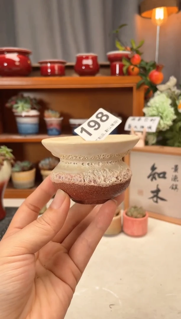 瓷片198知木小芳花盆直播编号