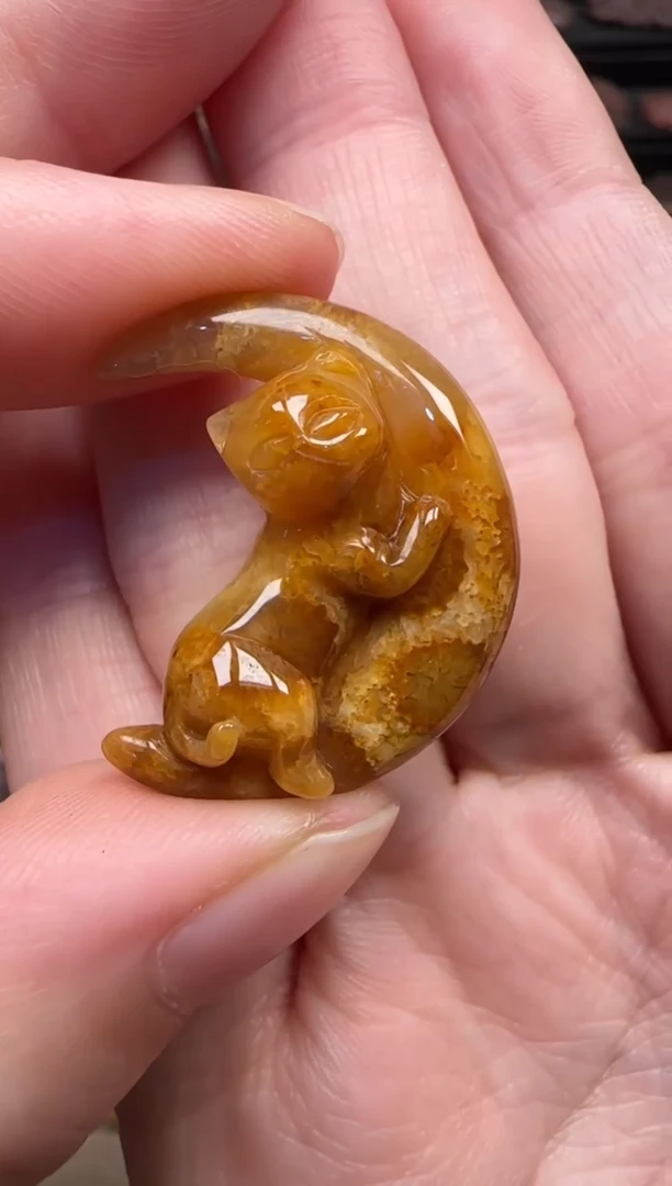 颈饰未镶嵌硅化珊瑚（珊瑚玉）368
