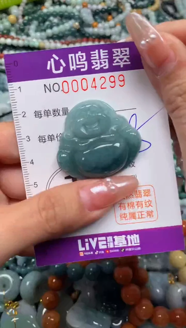 颈饰未镶嵌翡翠闪购004299