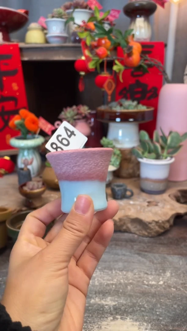 【闪购商品】摆件864知木小芳花盆
