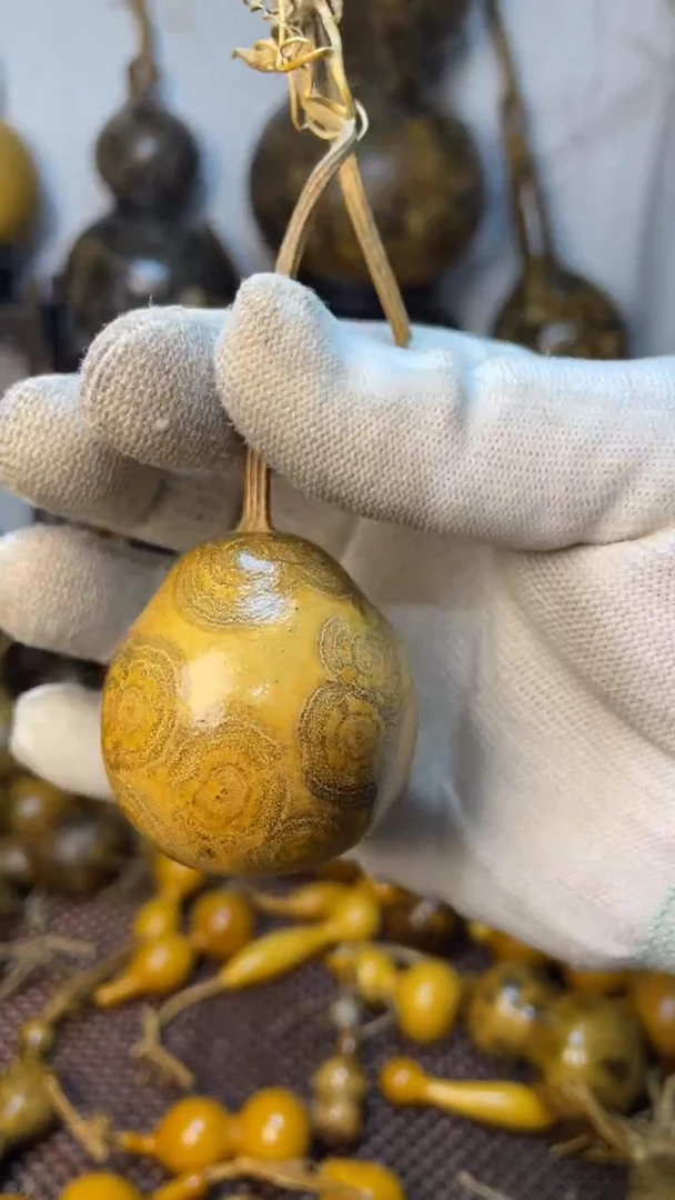 【闪购商品】葫芦葫芦葫芦葫芦