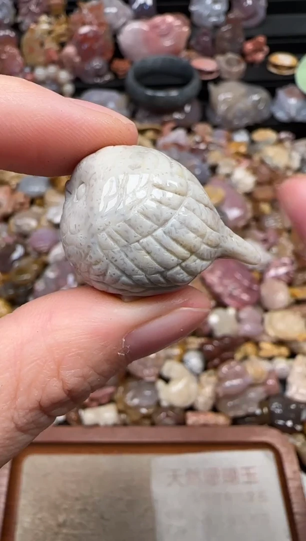 颈饰未镶嵌硅化珊瑚（珊瑚玉）296