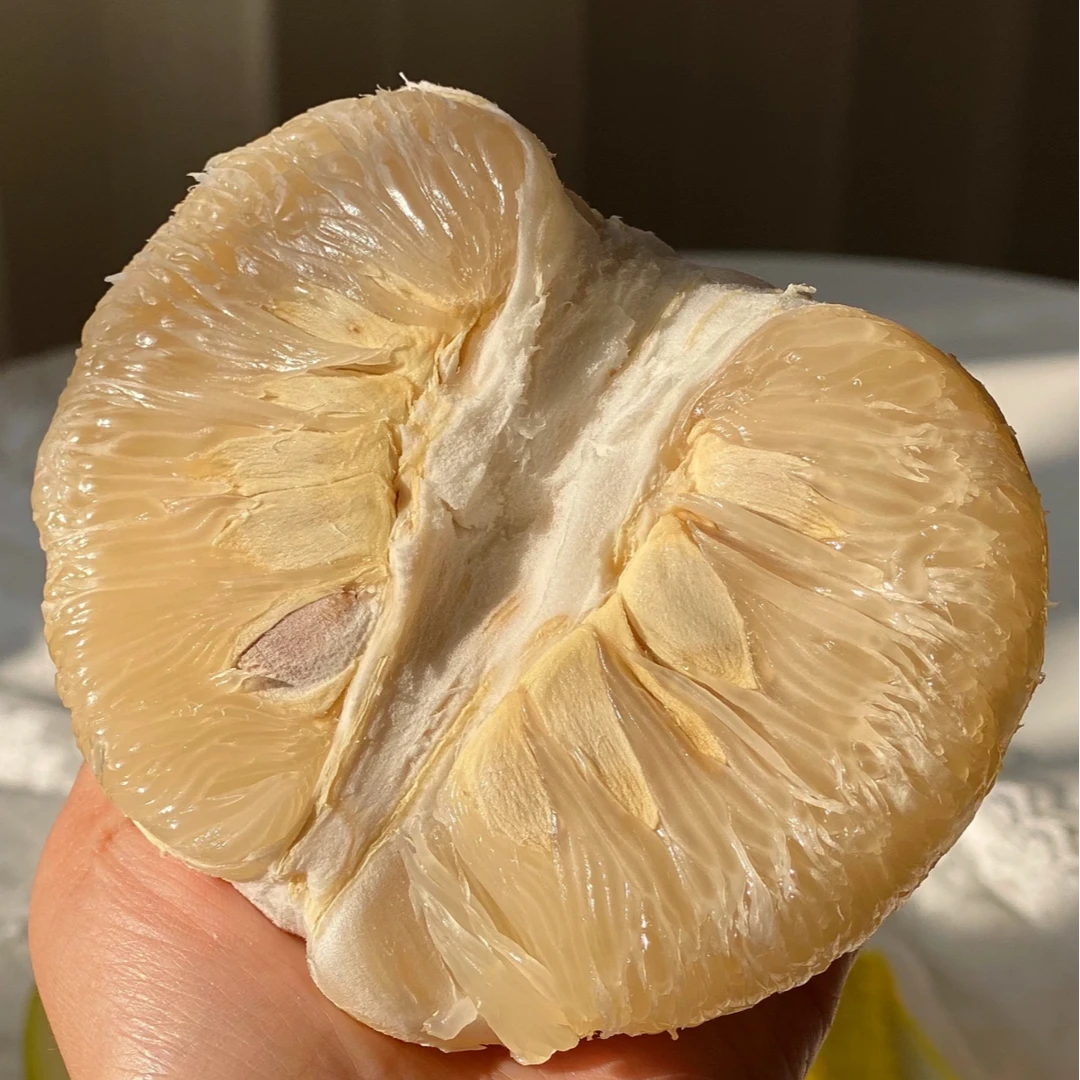 【双福翠宝宝】长寿沙田柚 纯甜好吃 果肉细腻 只发川渝