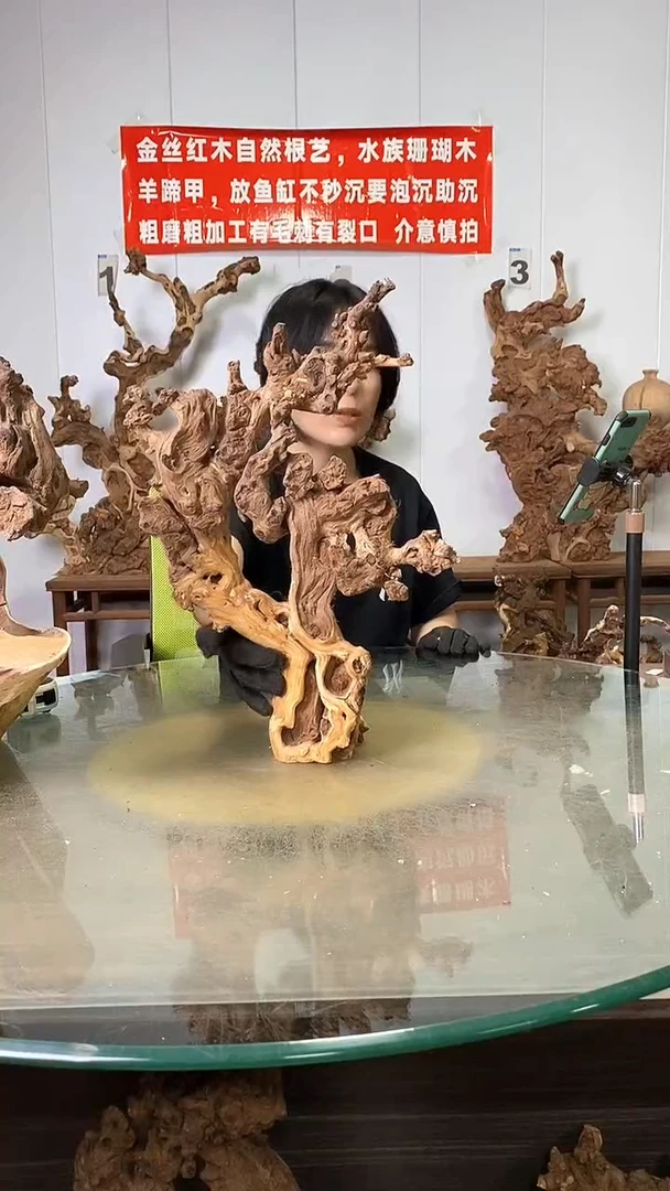 香榧木金丝红木 羊蹄甲