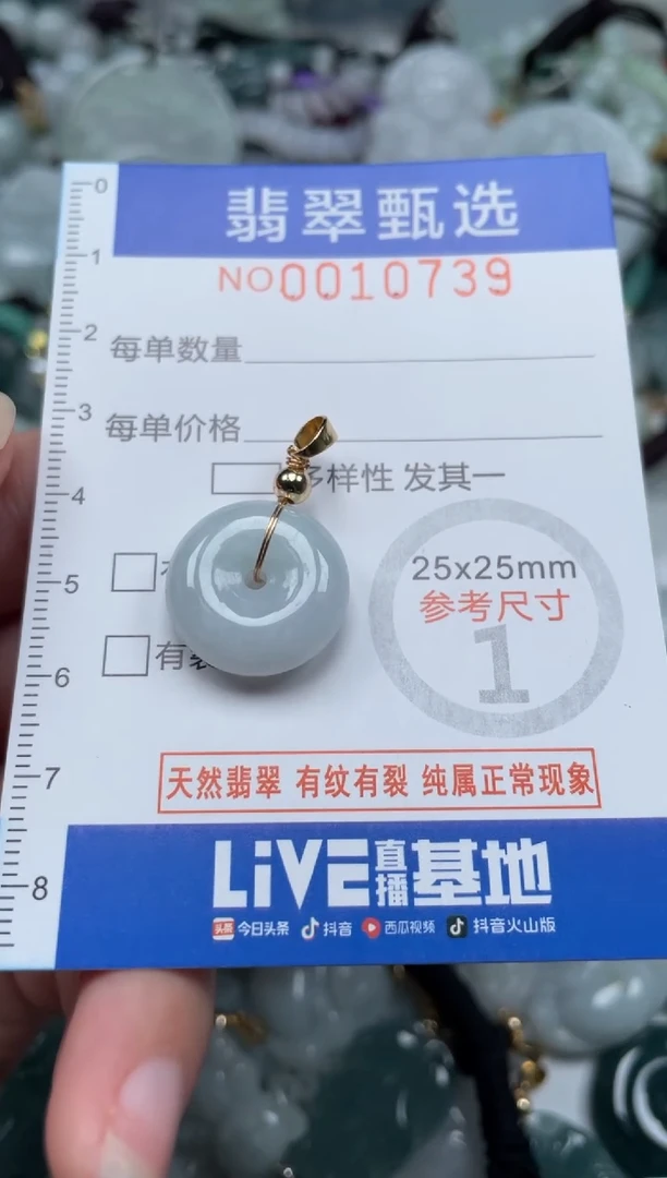 颈饰未镶嵌翡翠10739