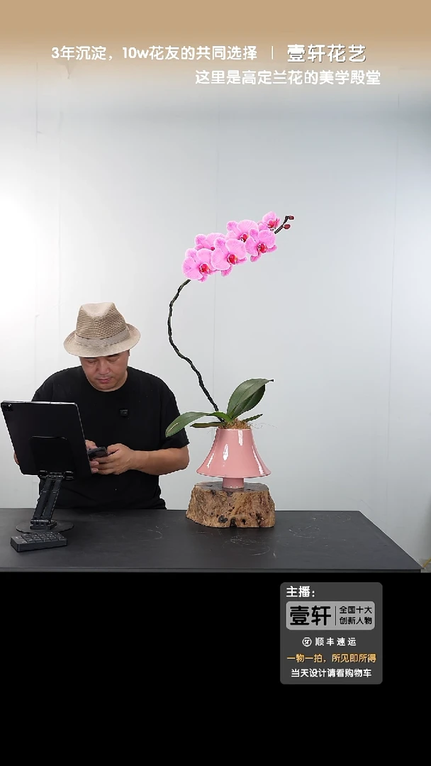 全部花朵【一物一拍】艺术盆景