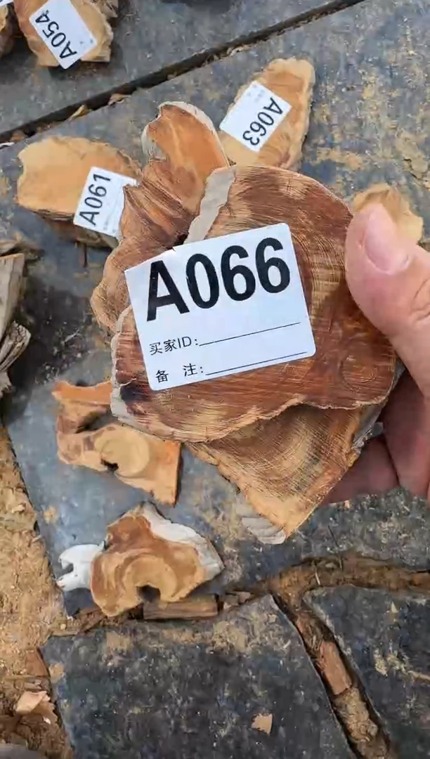 【闪购商品】柏木（崖柏）太行陈化崖柏2片