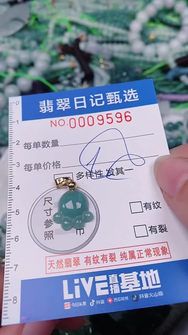 【闪购商品】翡翠颈饰未镶嵌00009596