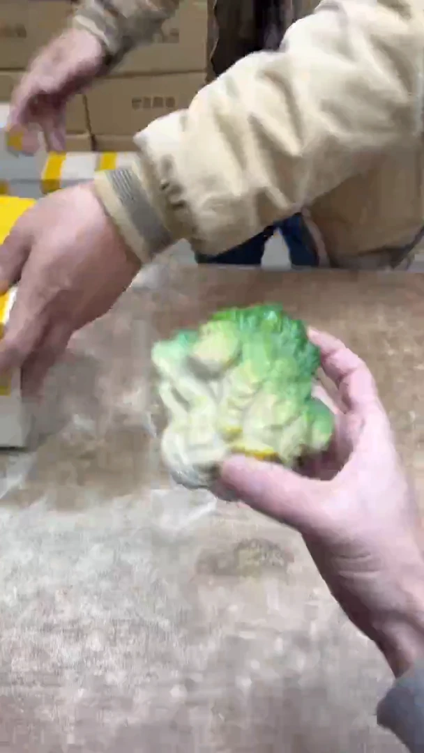 【闪购商品】其他其他其他其他其他