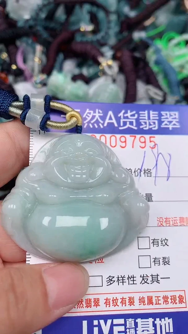翡翠未镶嵌颈饰...0009795