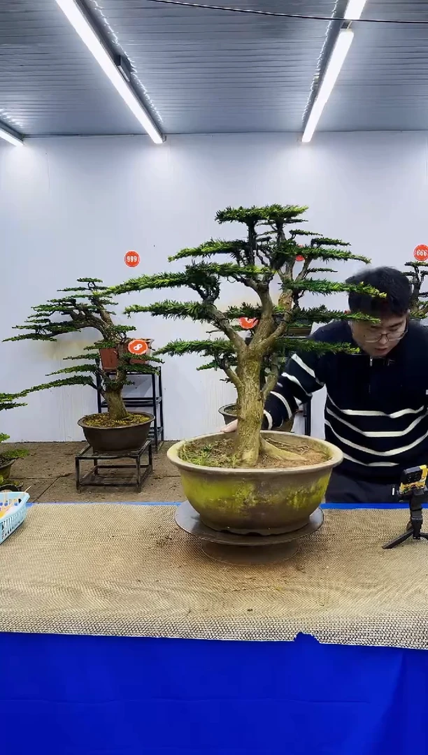 完全开放一物一拍，所见即所得