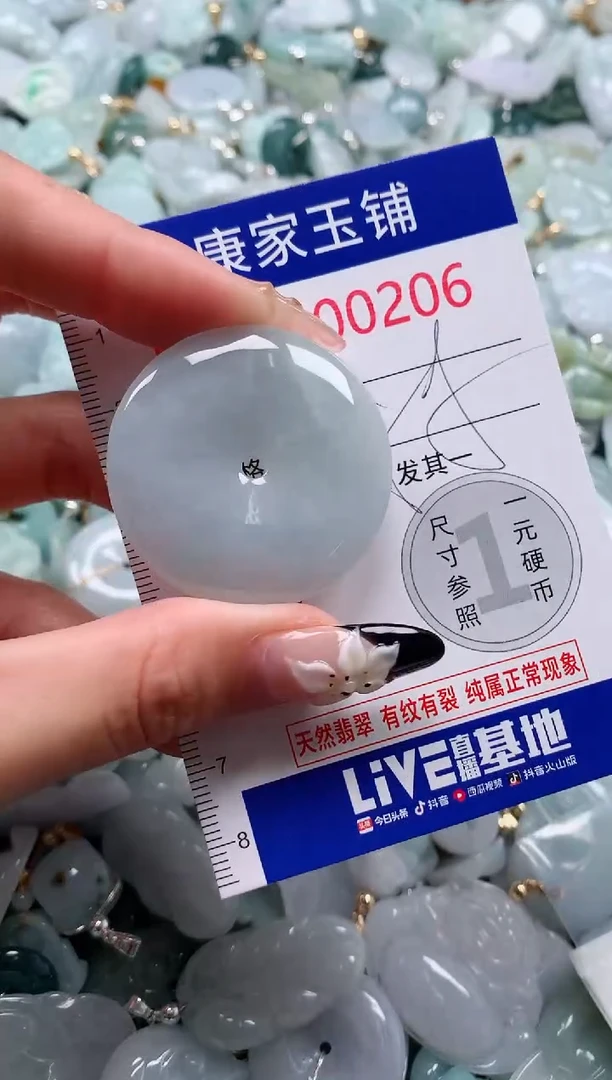 翡翠未镶嵌颈饰206