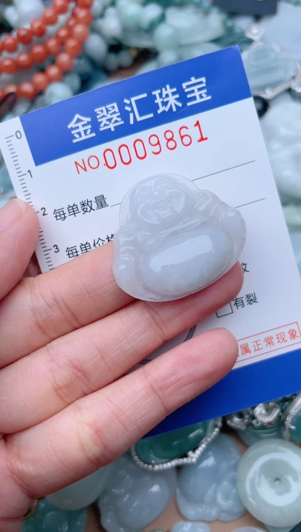 翡翠未镶嵌颈饰9861