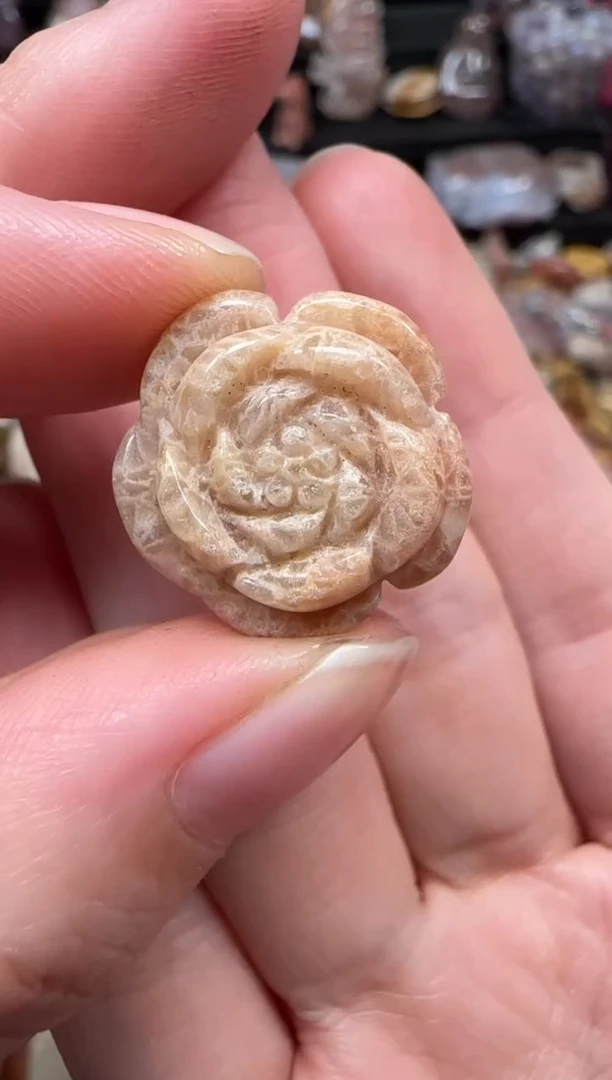 颈饰未镶嵌硅化珊瑚（珊瑚玉）336