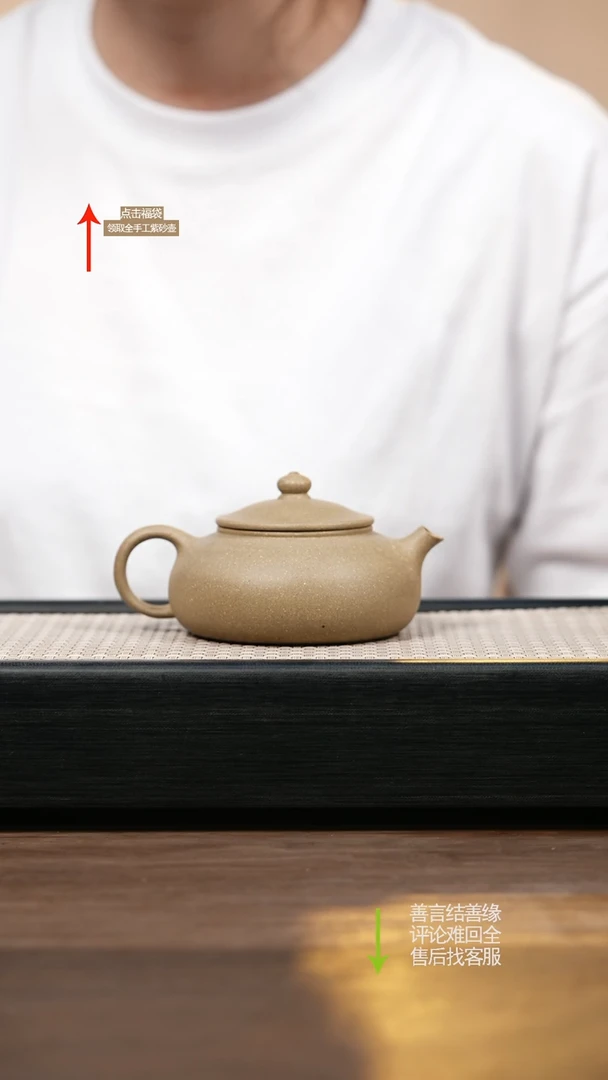 茶壶紫砂ZT共生青段云溪