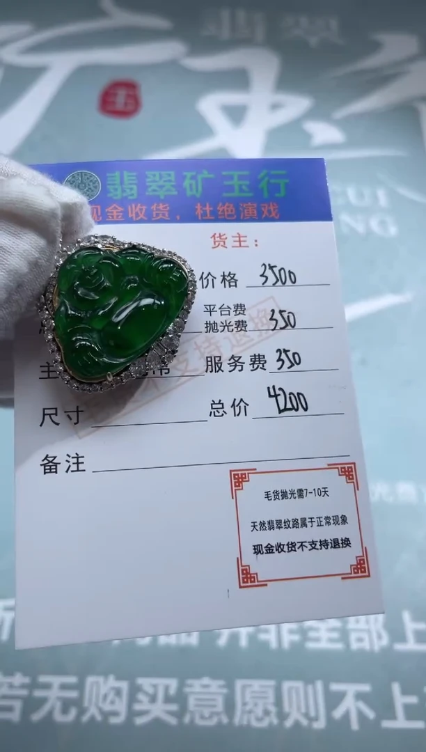 颈饰银S925镶嵌翡翠多**生-净货