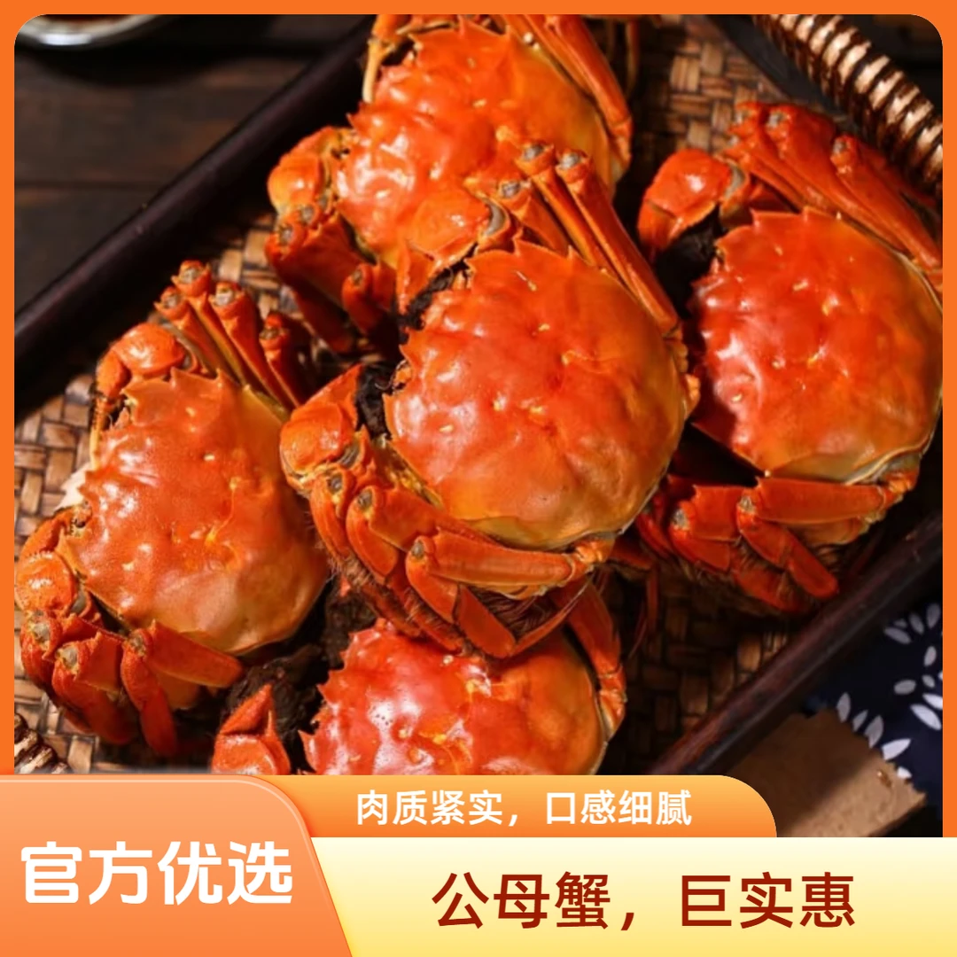 【正宗活蟹现发】江苏鲜活大闸蟹公蟹5.0两母蟹4.0两 到手8/10只